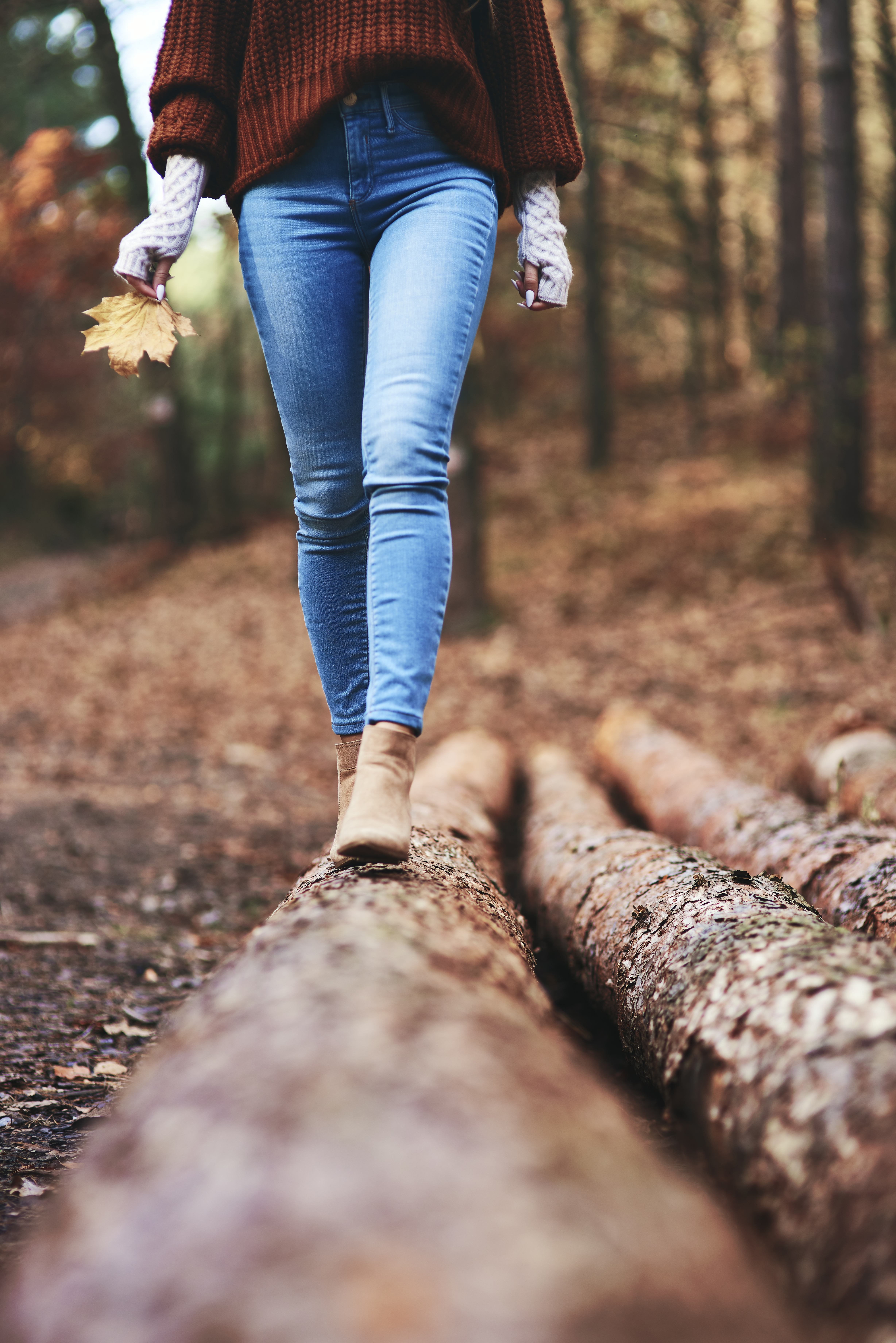 Chemin en forêt (Bois des Bruyères)